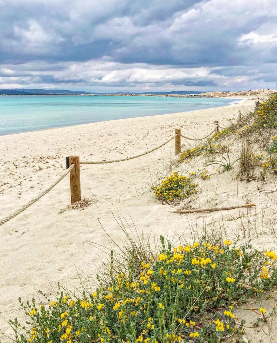 visitformentera's tweet photo. ¿Nuestra mejor técnica de relajación contra el estrés? 🧘‍♀️🧘‍♂️
Cualquier playa de Formentera en invierno.
¿Te vienes? 💙

#HelloWinter!

📸@formenteralovers 
#visitformentera #BetterInWinter 
#formenteratodoelaño #azulformentera https://t.co/A96SUFLQ3y