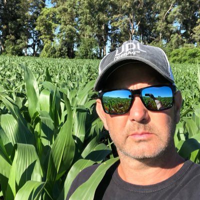 Mauro Longarini tweet media