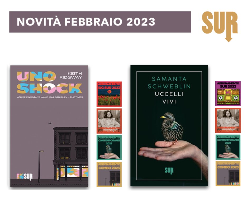 «Uno shock» di Keith Ridgway, trad. di Federica Aceto
Nove storie in un quartiere di Londra: bizzarre, sorprendenti, di persone comuni o eccentriche.
«Uccelli vivi» di Samanta Schweblin, trad. di Maria Nicola
Racconti dedicati a un mondo surreale, in cui comunicare è impossibile.