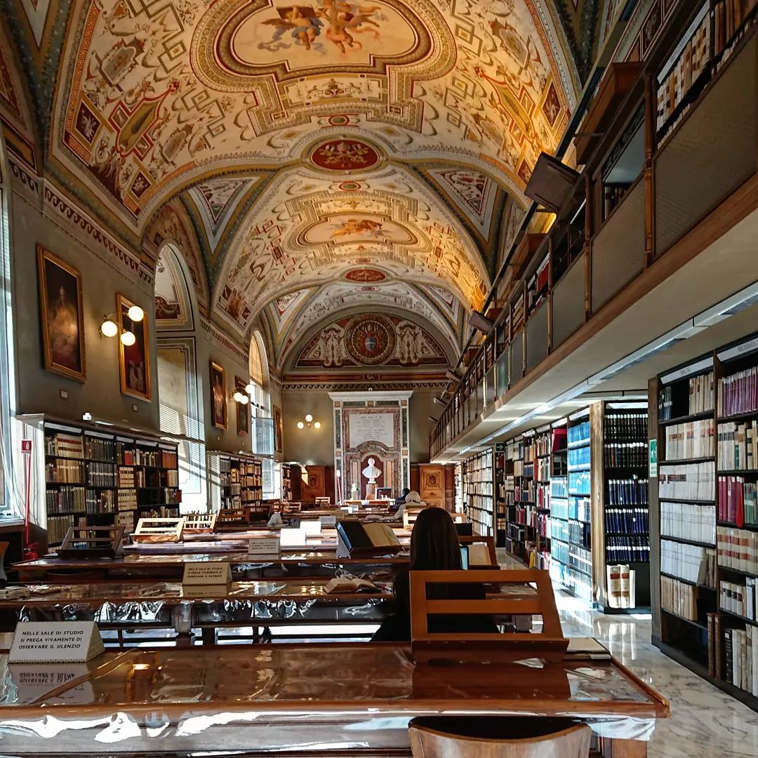 Made it again to the Holy Grail of Libraries: the Biblioteca Apostolica Vaticana. This study view will forever be one of my favourites.

#PhDlife #Vatican #ReligiousHistory #Renaissance