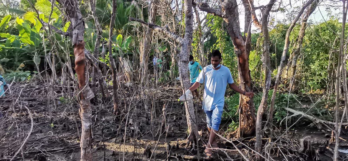narudhoohc's tweet photo. މަދިރި އުފެދޭ ތަންތަން ނައްތާލާ މަދިރި އާލާވުން ކޮންޓްރޯލް ކުރުމަށް ހިންގުނު ހަރަކާތުގެ ތެރެއިން. މި ހަރަކާތުގައި ރަށުގެ ހުރިހާ މުއައްސަސާތަކުގެ މުވައްޒަފުން ބައިވެރިވެފައިވޭ. 
@HPA_MV 
@ShaviyaniH 
@publichealthmv 
@MoHmv 
@eduGS101 
@TeamFenaka https://t.co/amhuQGD9e2
