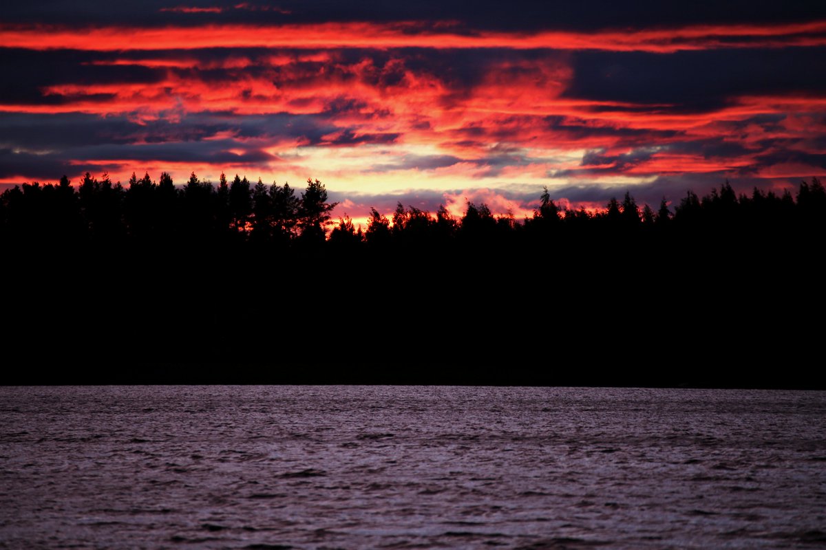 Vuoden viimeisen blogitekstin aika: Tuuli kuvailee tunnelmiaan väitöskirjan viimeistelyn parissa.
akatemianjalkavaki.fi/2022/12/16/vai…