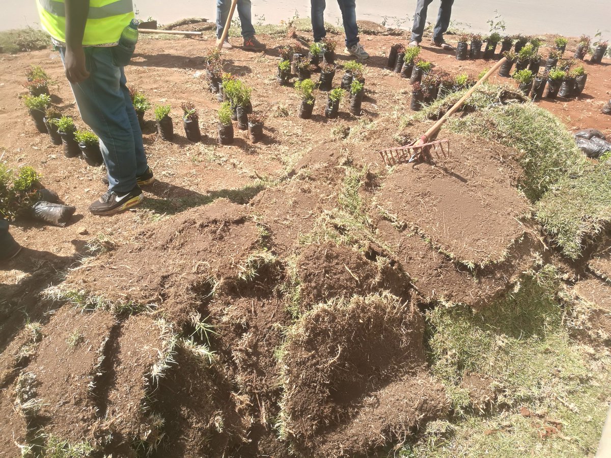 Transform Generation (@_transformists) on Twitter photo Meanwhile as we tackle soil erosion in our communities spaces #Tendasasa <a href="/SupportAgenda/">Community Agenda Support</a> <a href="/_Transformists/">Transform Eco-Mobilities</a> Meanwhile as we tackle soil erosion in our communities spaces #Tendasasa <a href="/SupportAgenda/">Community Agenda Support</a> <a href="/_Transformists/">Transform Eco-Mobilities</a>