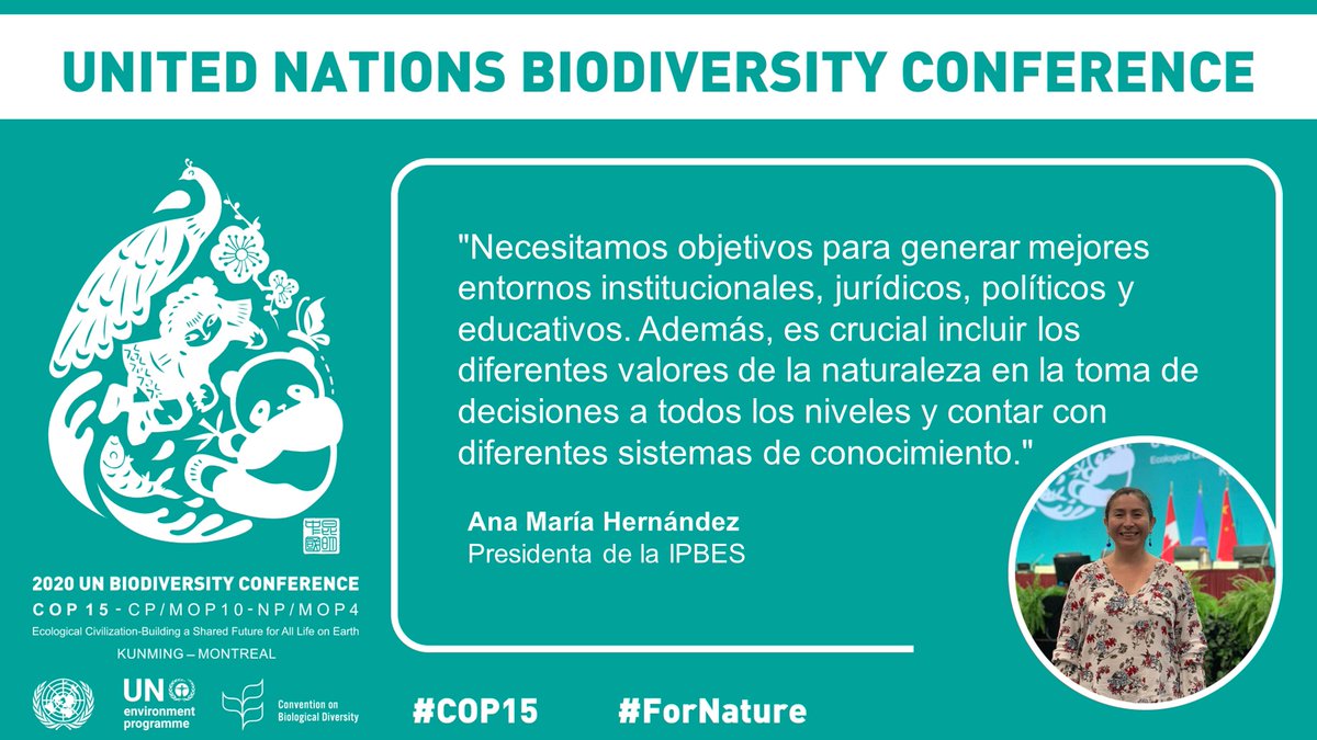 'Necesitamos objetivos para generar mejores entornos institucionales, jurídicos, políticos y educativos. Además, es crucial incluir los diferentes valores de la naturaleza en la toma de decisiones a todos los niveles.' - @anamariamojita, Presidenta de la @IPBES en la #COP15