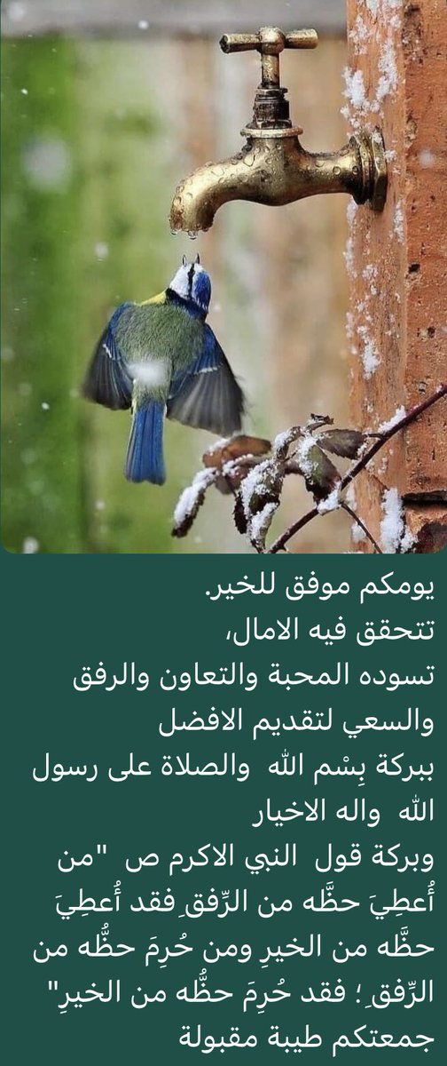 FouadAlsunni's tweet photo. https://t.co/F5KwadAGHn