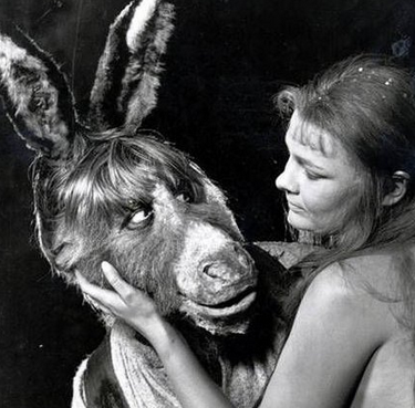 oxley264's tweet photo. A MIDUMMER'S NIGHT DREAM 1968
Starring three young actresses long before they became Dames..
Diana Rigg Helen Mirren Judi Dench.
#PeterHall https://t.co/AqowM77zKz