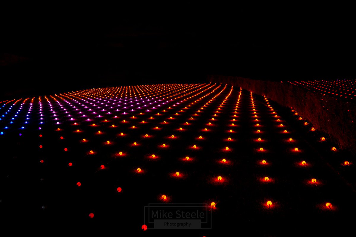 Mike Steele Images (@msteele_images) on Twitter photo A carpet of lights at the RHS Bridgewater Glow event.
<a href="/RHSBridgewater/">RHS Bridgewater</a>
#rhsbridgewater #glow #nikond4 #NightPhotography A carpet of lights at the RHS Bridgewater Glow event.
<a href="/RHSBridgewater/">RHS Bridgewater</a>
#rhsbridgewater #glow #nikond4 #NightPhotography