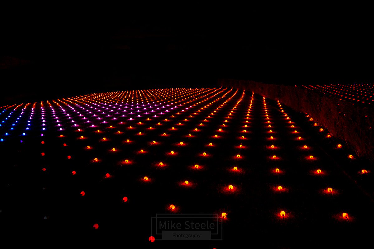 A carpet of lights at the RHS Bridgewater Glow event. @RHSBridgewater #rhsbridgewater #glow #nikond4 #NightPhotography