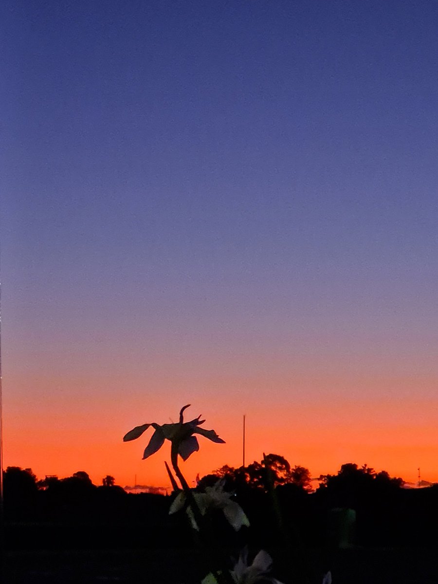 Steve Green tweet media