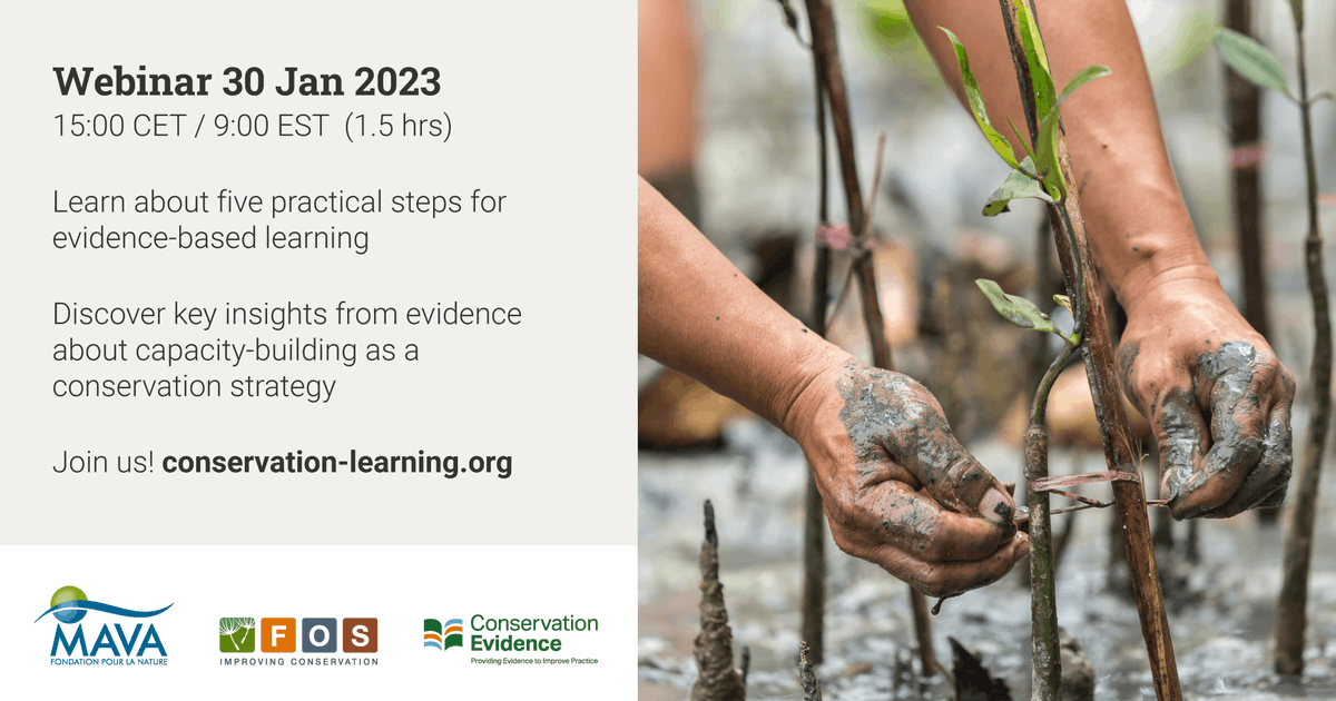 ConservEvidence's tweet photo. Join our webinar on #ConservationLearning 30 Jan 2023 with @MavaFdn &amp; @FoundOfSuccess! Learn about the need for using #EvidenceInConservation, our practical five-step approach, and the key insights on capacity-building. Details &amp; registration: https://t.co/JkXYJGyNkR https://t.co/ZID7BHpdvK