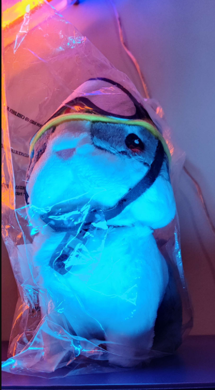 mst_tombox's tweet photo. THE LAST RABBIT. This is part of the Gleam Giveaway: https://t.co/BLaYngILkc 
#giveaway https://t.co/EIsGFRlDmi