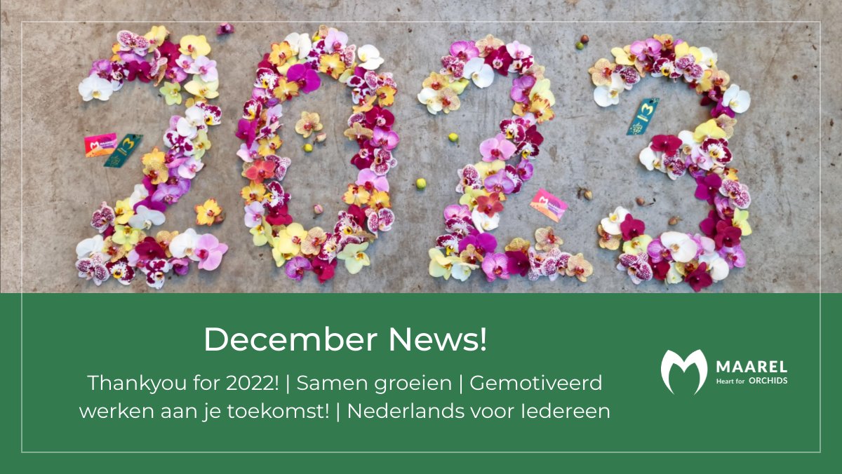 Nieuwsbrief December! - mailchi.mp/2e05c43aeb88/t…