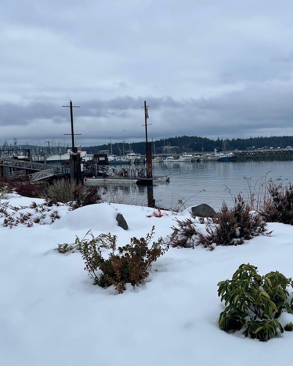 visionglobalnet's tweet image. Ocean Pacific Marine Supply &amp;amp; Boatyard, is probably located in one of the most beautiful and far away places that we´ve ever visited. The snow was a plus for a truly white shooting.

#SAPBusinessOne 
#customersuccess
#webroadcastyoursuccess 
#worktravel
#SAP
@Forgestik