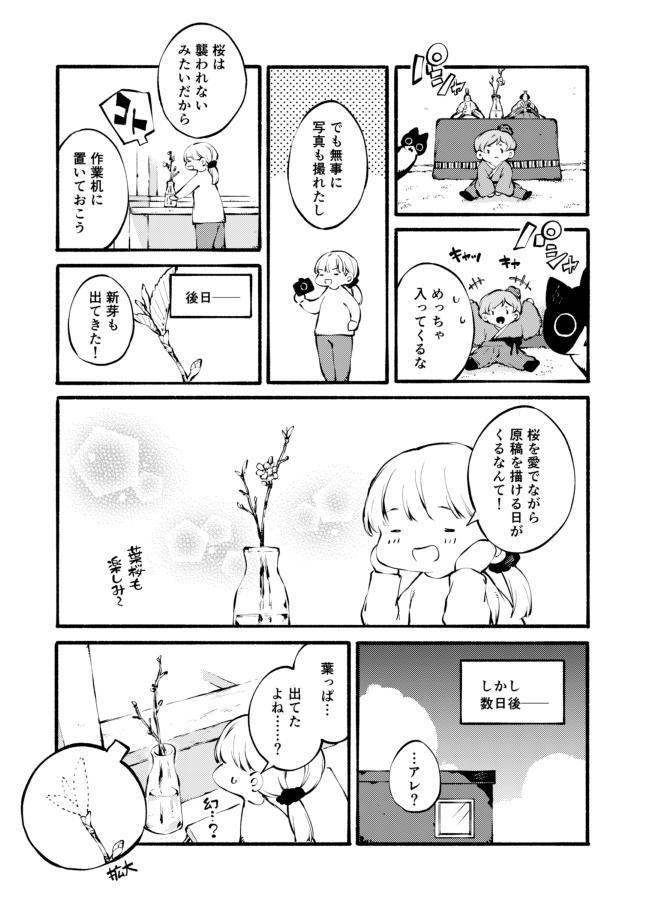 植物を飾りたい人間
vs.
植物を襲いたい猫 