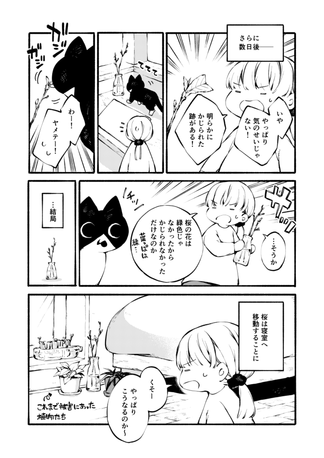 植物を飾りたい人間
vs.
植物を襲いたい猫 