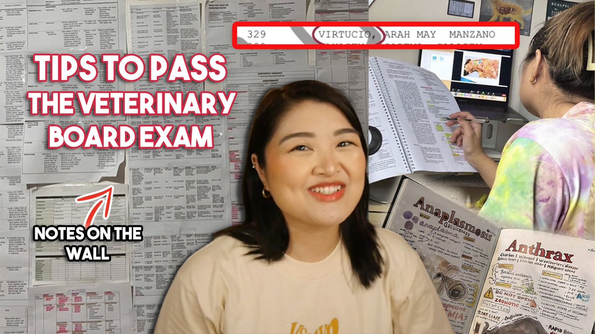 arahvirtucio's tweet photo. new vlog โค๏ธ TIPS TO PASS THE BOARD EXAM!! (Veterinary Licensure Exam)
https://t.co/kkzsobiyuW https://t.co/sE49BGG0kq