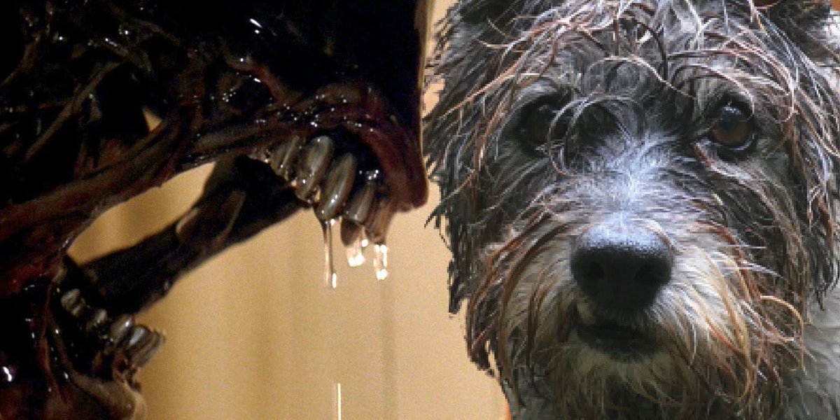 littlewood_mark's tweet photo. Day 16 - βIn space, no one can hear you bark!β
πΆβ€οΈπ½
#WheresPickles #Pickley
@PBProjects https://t.co/YZjd0DSvcz