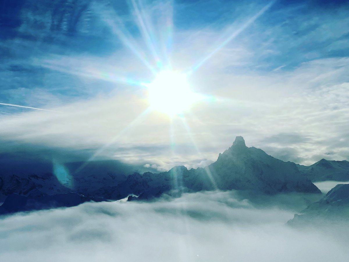 Emixamaxim's tweet image. 