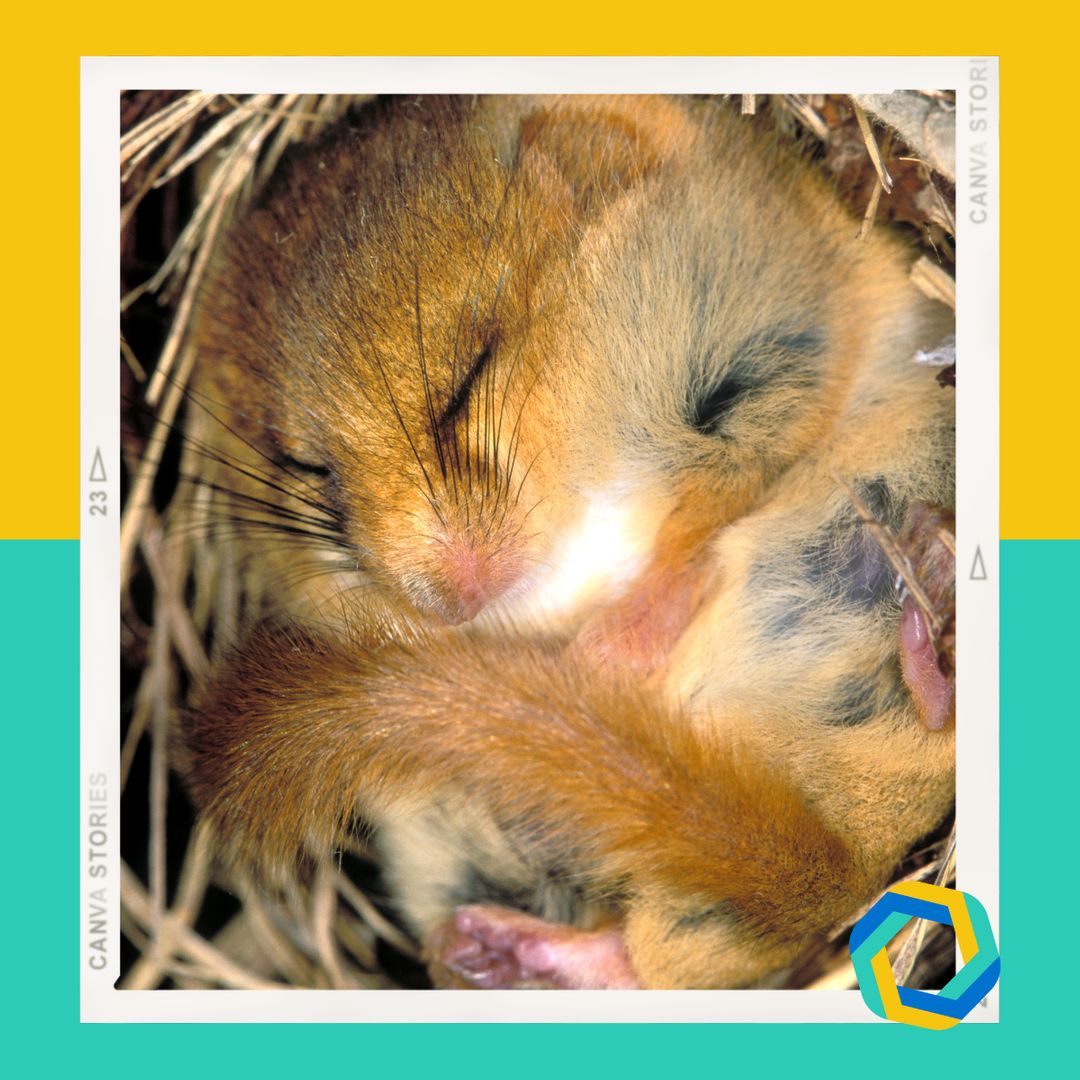 #FreedomFriday. It's the Holiday season and almost the end of what has been another eventful and challenging year. Winter is a time to #restandrecharge so you are ready to start a #newyear reenergised. How are you going to get some #radicalrest this month?