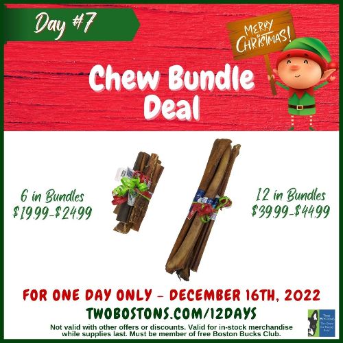 twobostons's tweet photo. 🐶 Chew Bundle Deal - Today Only! - https://t.co/5Q1HNPYyzG https://t.co/0SsAjNJQNz