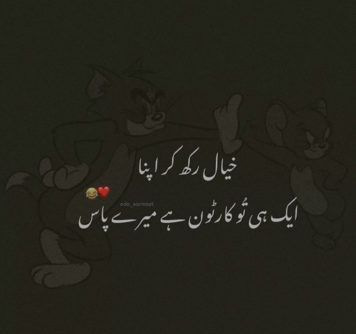 Sheikhoo tweet media