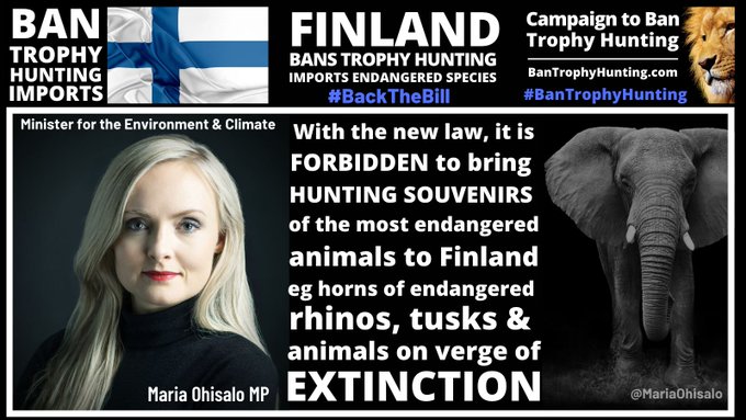 Finland Minister for the environment and climate change - on meme with an elephant and lion. Finland bans trophy hunting imports - endangered species. #BreakingNews #Finland BANS TROPHY HUNTING imports from threatened species [CITES Appx I II] from summer 2023. It mirrors #Netherlands law & imminent ban in #Belgium. A victory for wildlife & common sense. #BanTrophyHunting imports. UK is next 