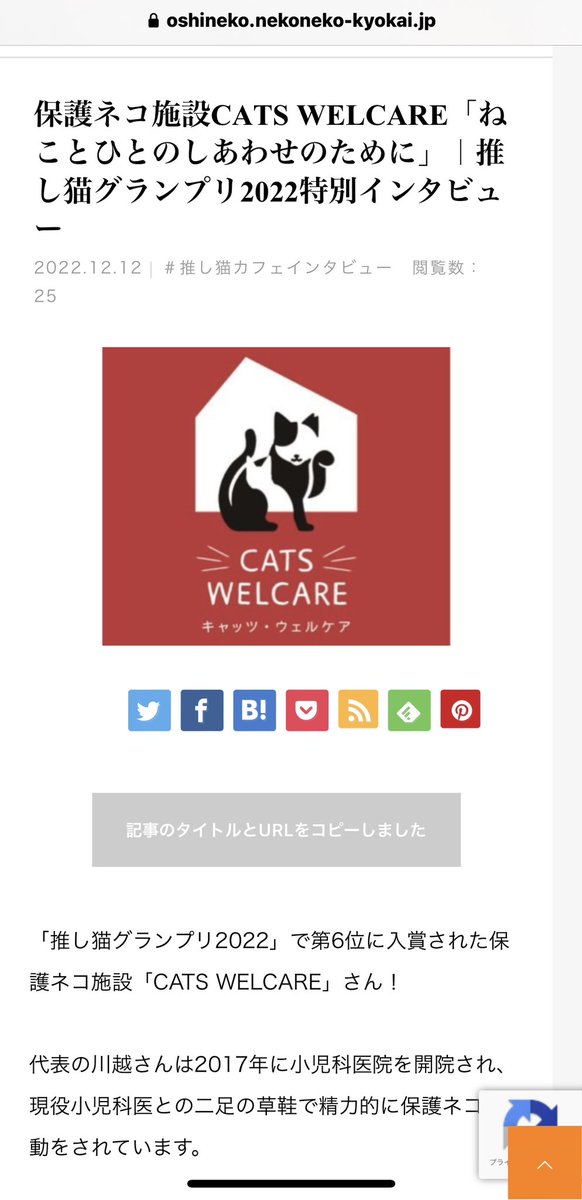 CWelcare's tweet photo. 日本猫ねこ協会さんがインタビュー記事をアップしてくださいました👏

保護ネコ施設CATS WELCARE「ねことひとのしあわせのために」｜推し猫グランプリ2022特別インタビュー https://t.co/ERrOF0wAHR https://t.co/W2cdk9SWKE