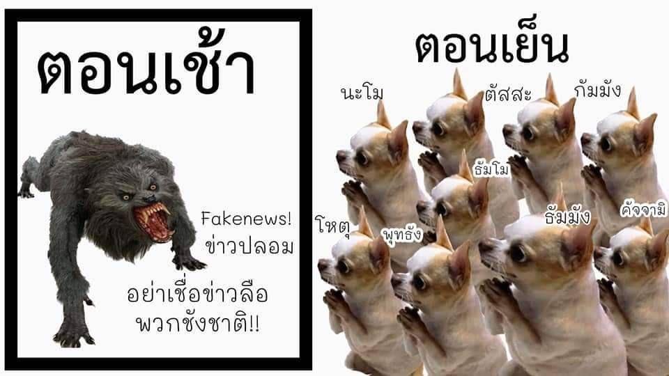 MmPorcupine's tweet photo. หาทำมาก555555555555555555555 แต่ว่าไม่ได้นะ กลางวันบอก #ข่าวลือ พอตกเย็นสั่งรวมพลสวดมนต์ ส่วนบางกรมถวายม้ายูนิคอร์น หมอรักษาคือปวดหัวแล้ววววววว https://t.co/Q8WPewB8kS