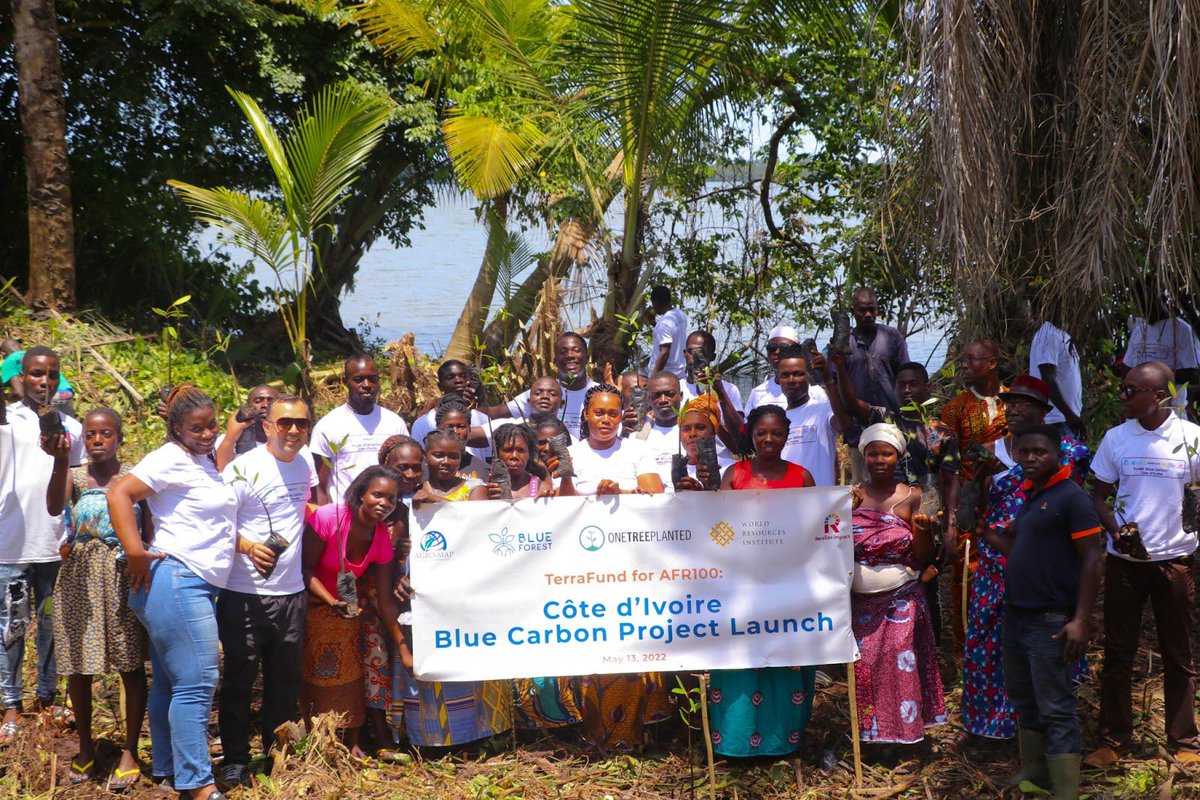 BlueForestLoves's tweet photo. Throwback to our launch ceremony in May 2022!
Collaborating with @agro_map , Aboisso Department, and the Ministry of Water and Forests, we improved livelihoods and engaged with local community members in the Sud-Comoé Region!

Follow us &amp; stay tuned for more! https://t.co/uvcyfFWxPJ