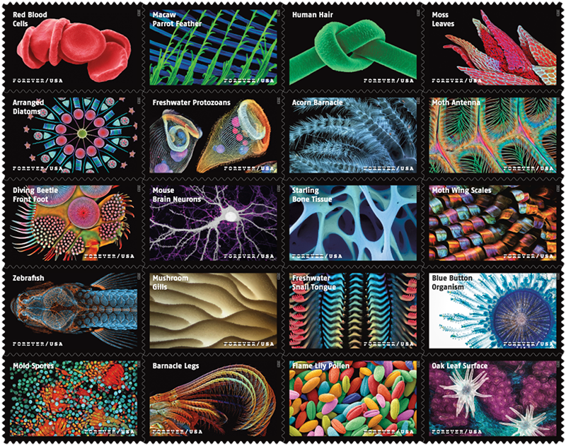 Nerdobyte's tweet photo. It has just been bought to my attention these are what the USPS 2023 stamps look like and I'm mesmerised... 🤩

https://t.co/CMaVC9hx8o https://t.co/be37Bfq5qV