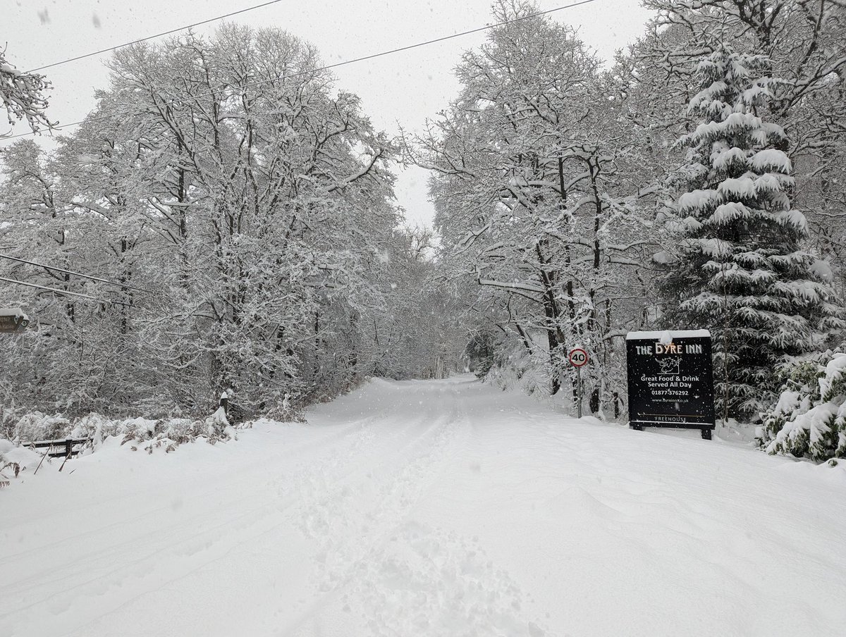 Fat Bike Farm tweet media