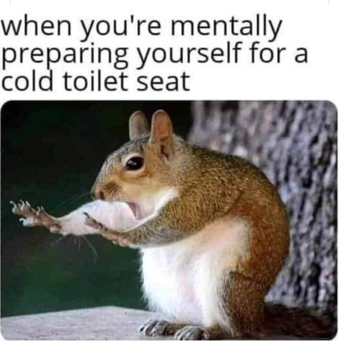 Amazinwoman's tweet image. #Subzerotemperatures in the #UK right now.  Even my #bum is cold!