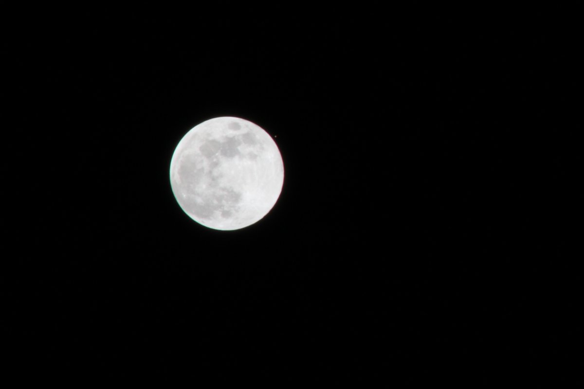 DavidAffray's tweet photo. Thank you for your #1linewed support!
#RestoreTheMoon

@MESivils
@akcaggiano
@Write2Fite
@paulphillips44
@JJDiBenedetto
@HilaryRSparkes
@LLaaksoWriter https://t.co/F6Uyfvp5GS