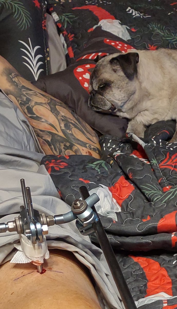 Angel Mushu😇🌈, Zinny🖤, Winny💓, Lucy tweet media