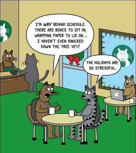 Funny Friday, Christmas edition🎄☺️ How’s your day going? #WritingCommunity #amwriting #amediting #proofreading #writersoftwitter