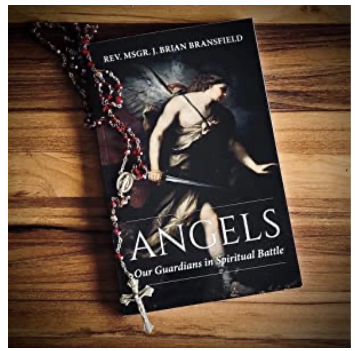 BrianBransfield's tweet photo. Christmas reading…
Angels: Our Guardians in Spiritual Battle
#angel #angels
#amreading
#bookish
#booklover
#currentread
#bookworm
#bookaholic
#bookaddict
#catholicwriter
#catholicwriters
#creativewriting
#angels #angel #catholic #catholicchurch #catholicfaith https://t.co/yyw3DU73cP