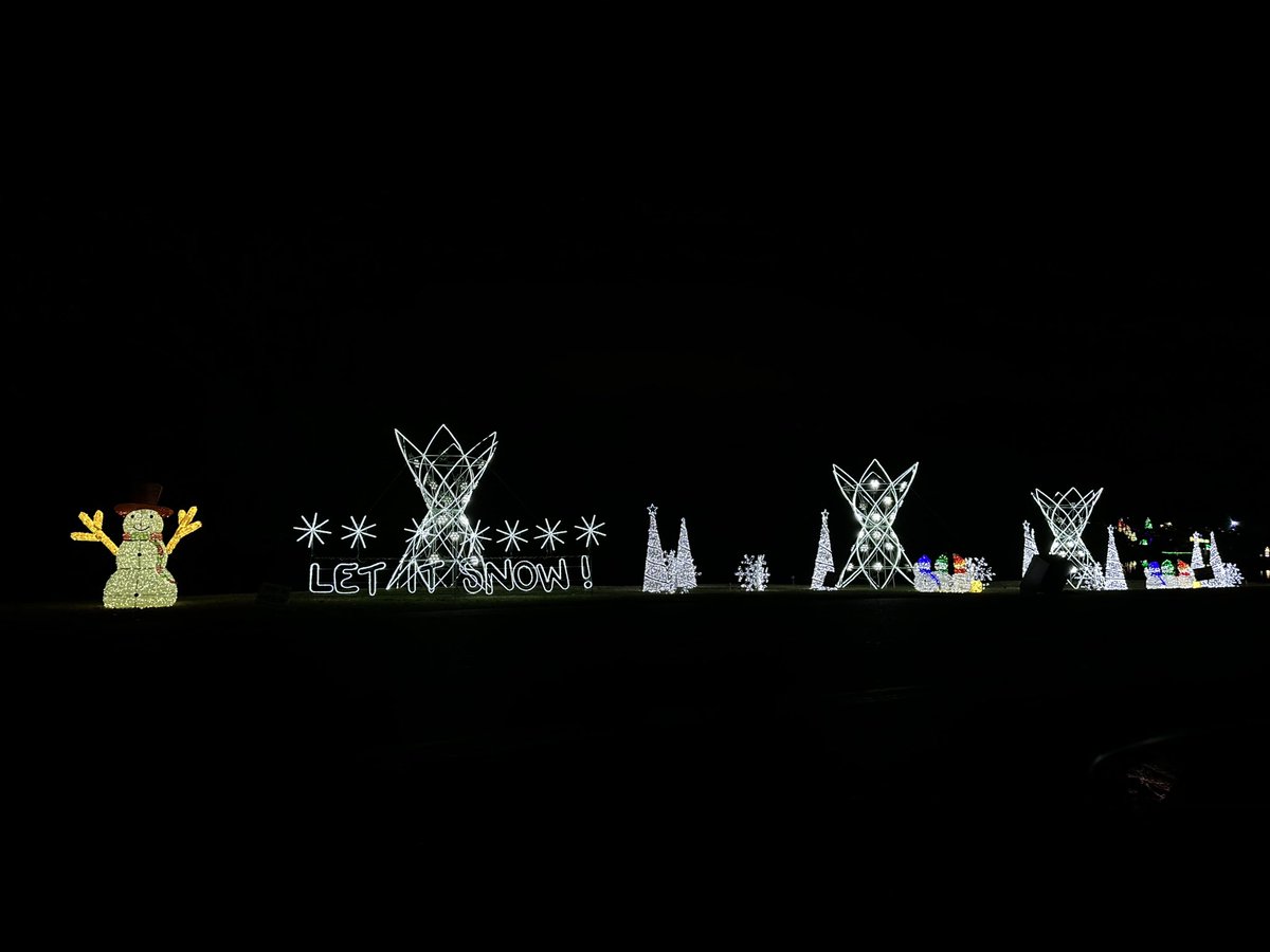 IamLambo901's tweet photo. #starrynights #Memphis #ChristmasLights https://t.co/aVkzhVQBRu