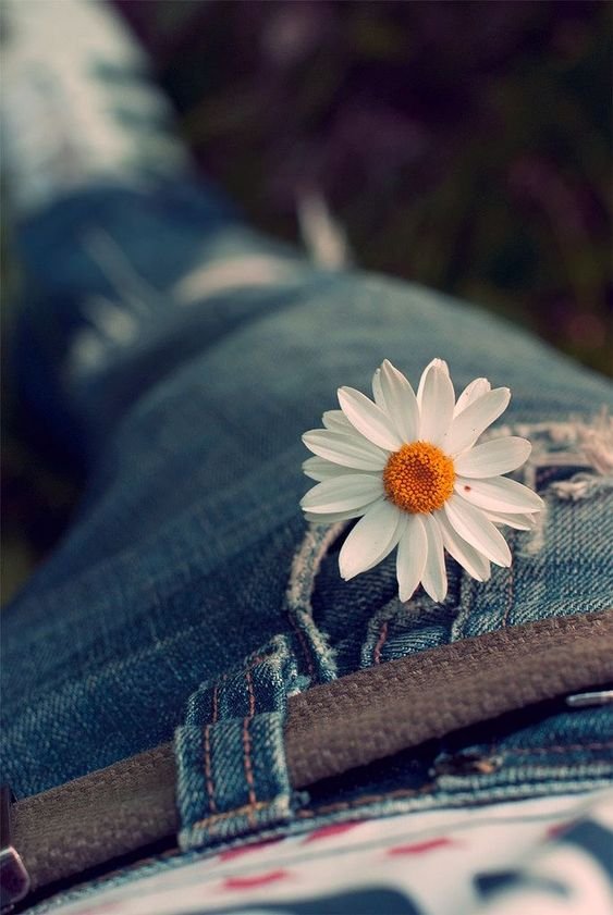 Ya llega el fin de semana y nos preparamos para descansar y disfrutar de aquellas cosas que nos hacen felices, de lo verdaderamente importante.

“No midas tu riqueza por el dinero que tienes, mídela por aquellas cosas que tienes y que no cambiarías por dinero”. Paulo Coelho.