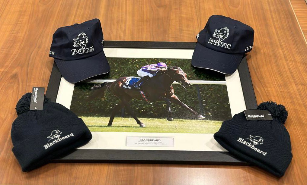 In celebration of the #ITBANextGen visit to @coolmorestud & Castlehyde Stud on Jan 6th, we have a rare BLACKBEARD prize to giveaway! Prize includes: 🏴‍☠️Blackbeard framed photo 🏴‍☠️Blackbeard jackets 🏴‍☠️Blackbeard hats To enter, simply: ➡️Follow @ITBAnextgen 🔁Like & retweet