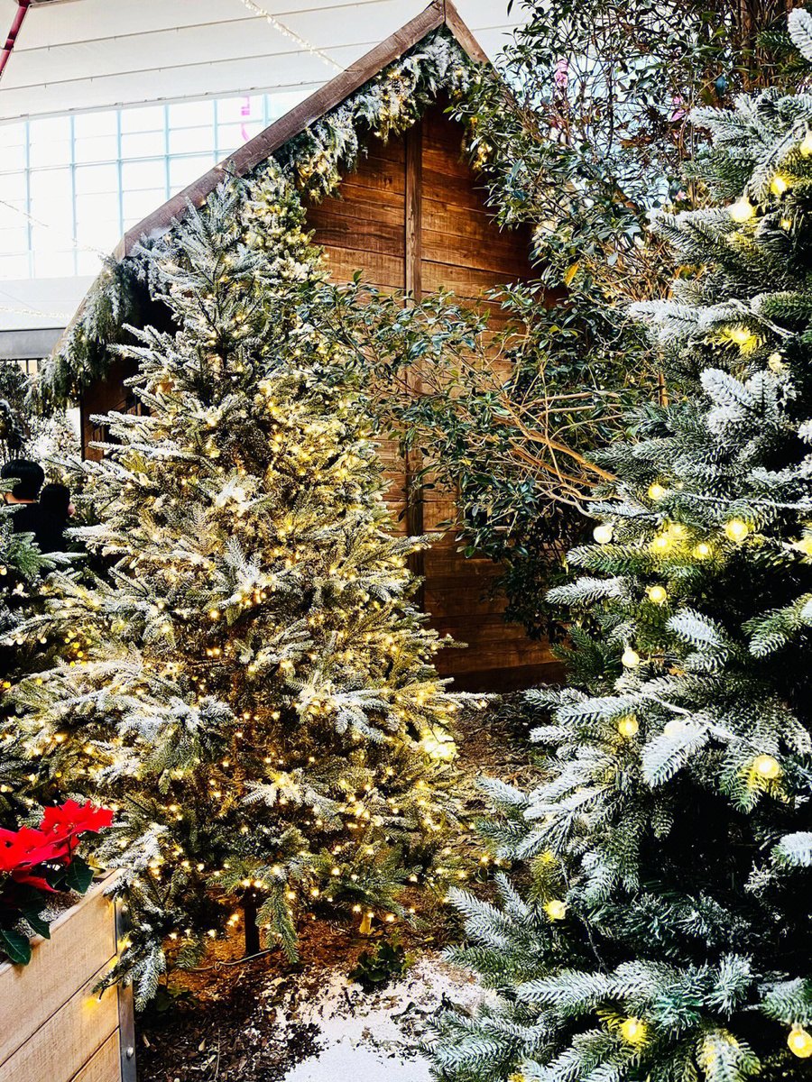 m06733468's tweet photo. It's Christmas, ring the Christmas bell, and you will have boundless luck; blow the happy horn, you will be extremely happy; blooming beautiful flowers, you will be infinitely happy; and delivering Christmas blessings will be extremely sincere: I wish you a happy Christmas and https://t.co/U94i4kdhu5