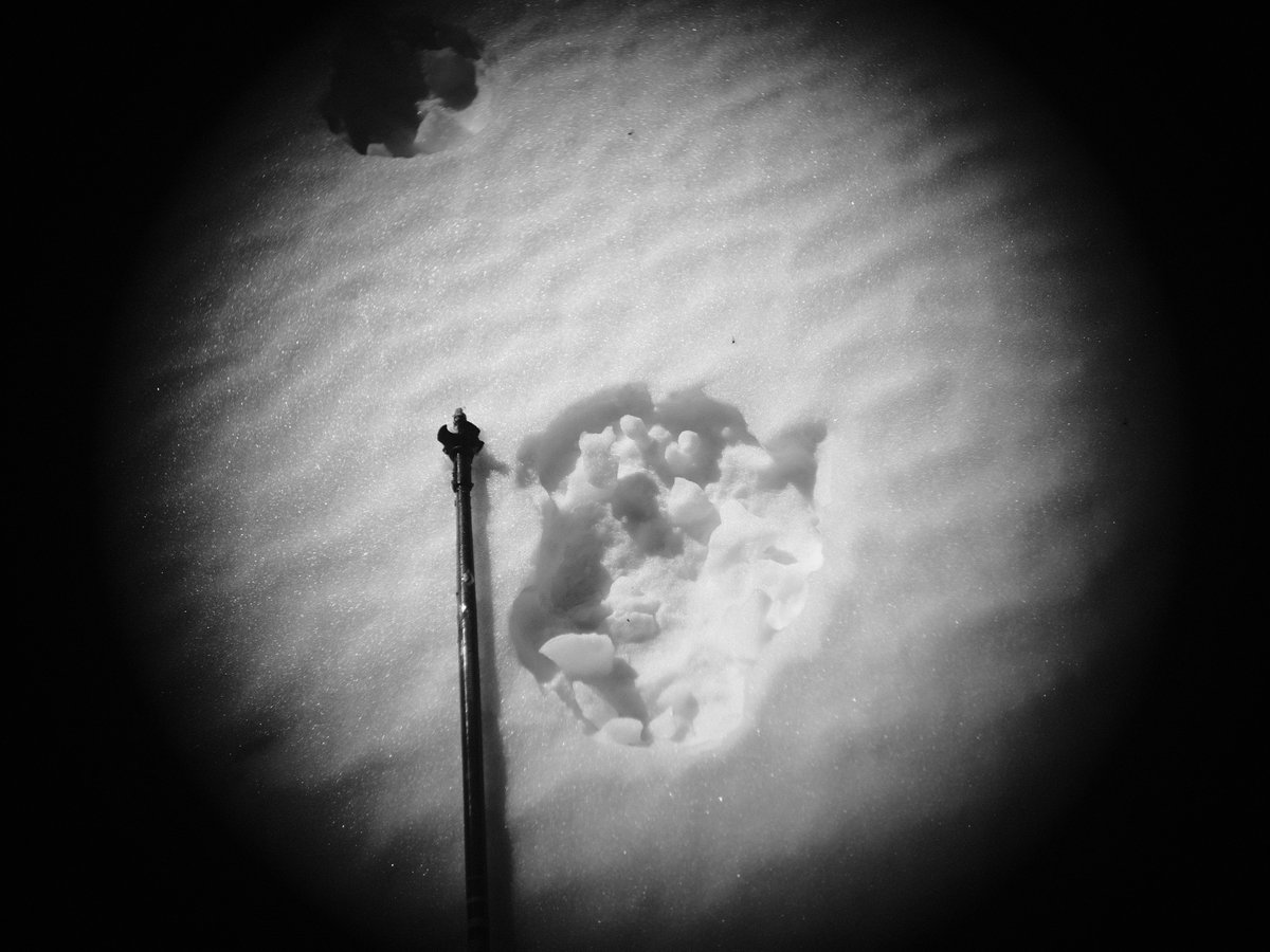 Relprime.Eth in the (Spotlight) tweet media