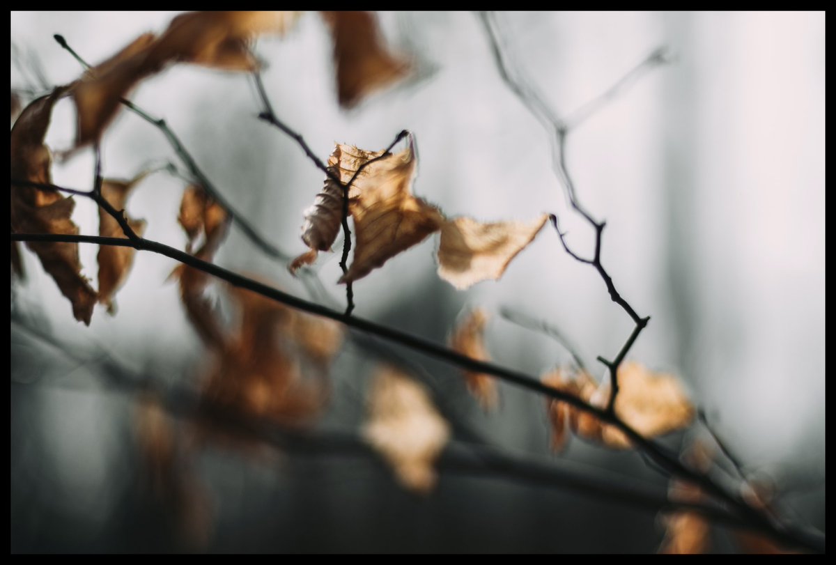 “Break through these times of trouble.”

#fujixt2 #zeisscontaxplanar5014 #exile <a href="/FujifilmX_US/">FUJIFILM X/GFX USA</a>