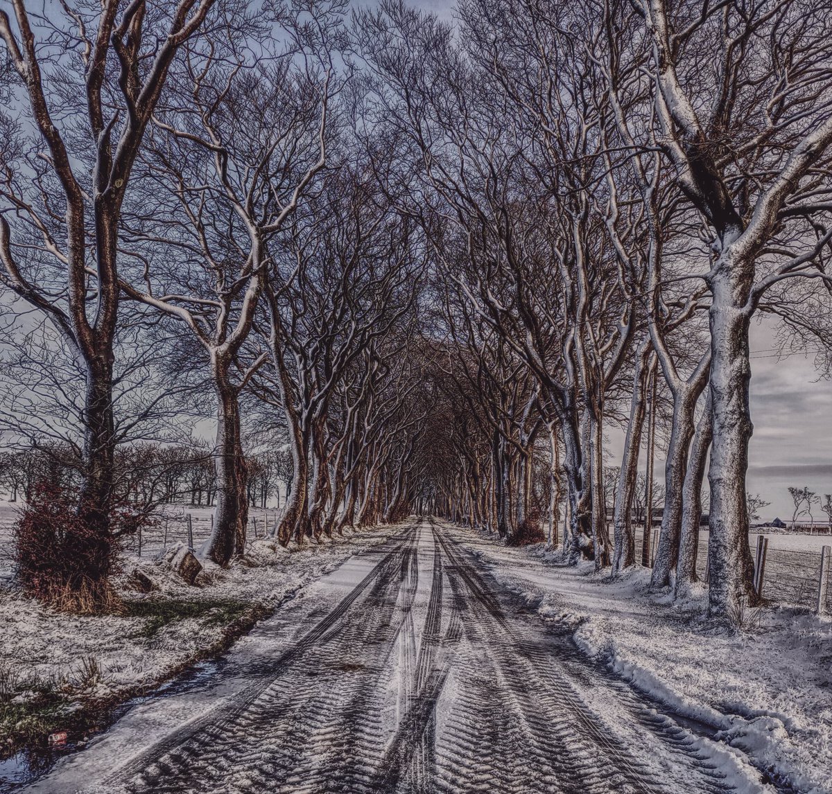 Steven_W_green's tweet photo. #landscape
#landscapephotography
#landscapephotographer
#landscapephotos
#scotlandsscenes
#scotlandlandscape
#scotlandwinter
#scottishscenery
#OPPOReno2
#OPPOphone https://t.co/xNrnvaEgrM