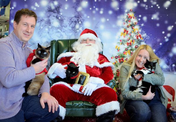 STOP your plans! Santa Paws Photo Event Fundraiser This weekend! - mailchi.mp/chicosnaturalp…