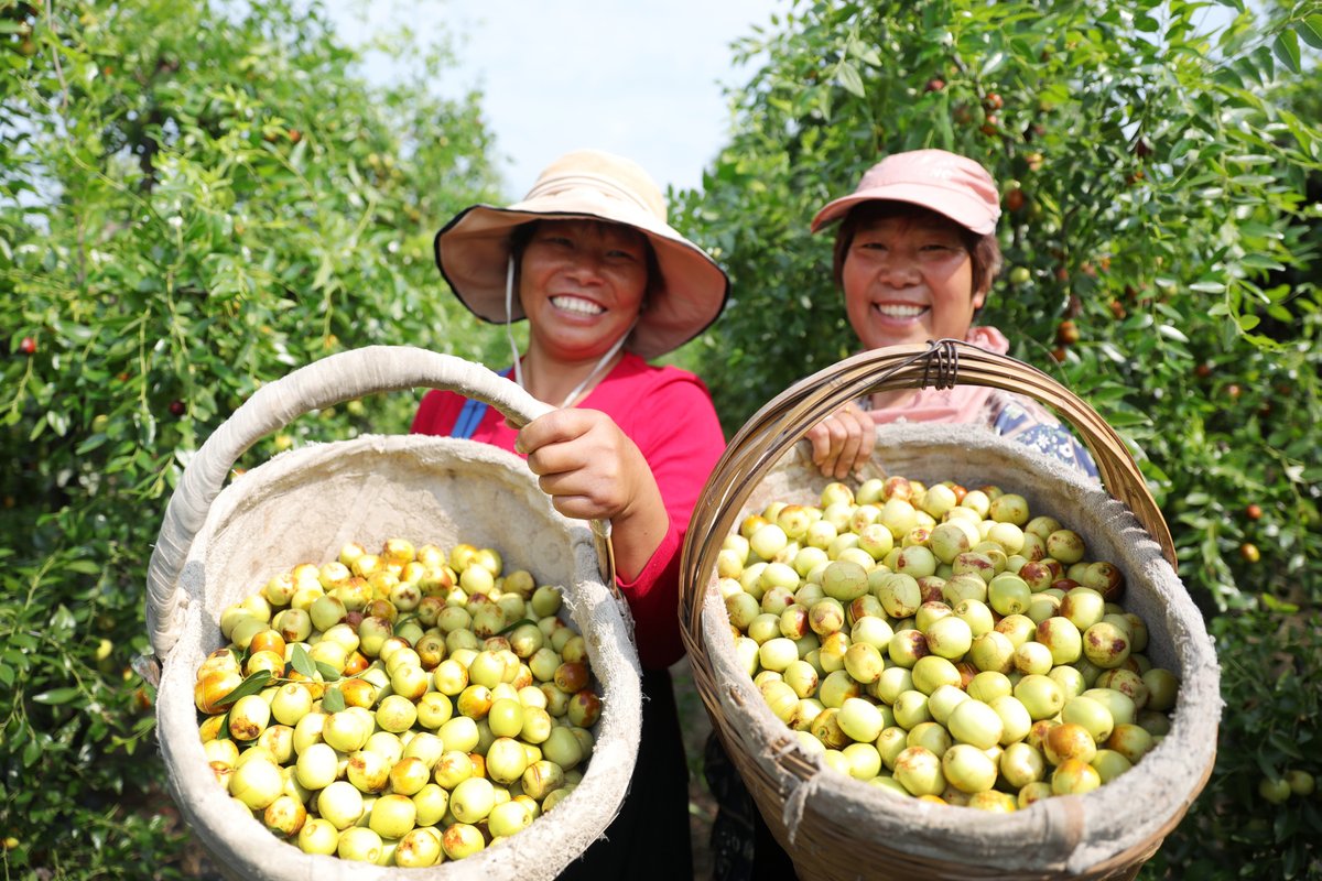 IPRinCN's tweet image. China has rolled out a variety of measures for #GI use and fostered #GIprotection since 2018, which has yielded notable results. The total output value of Chinese enterprises using GIs exceeded $98.3 billion in 2021. Hail #ChinaWisdom!📈🎉 #IPRinChina