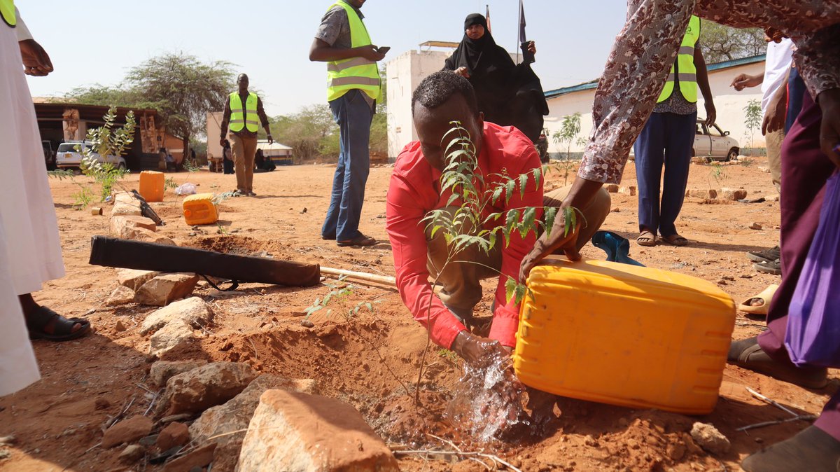 Husika_Alliance's tweet photo. “Climate change can be only be eradicated if every community acts collectively”@Amiir__Mohamed #ClimateActionCampaign #ClimateActionNow #SDG #sdg13 https://t.co/jtV4CruaDF