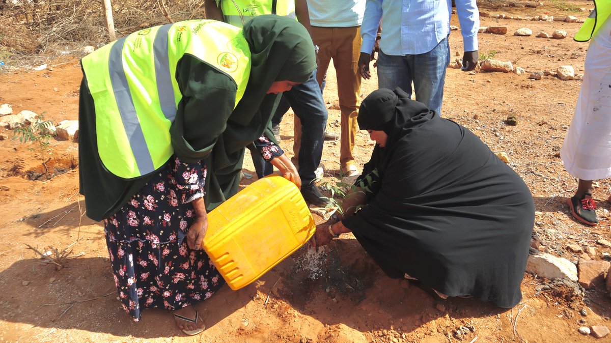Husika_Alliance's tweet photo. “Climate change can be only be eradicated if every community acts collectively”@Amiir__Mohamed #ClimateActionCampaign #ClimateActionNow #SDG #sdg13 https://t.co/jtV4CruaDF