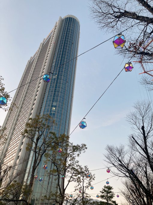 東京ドーム来 