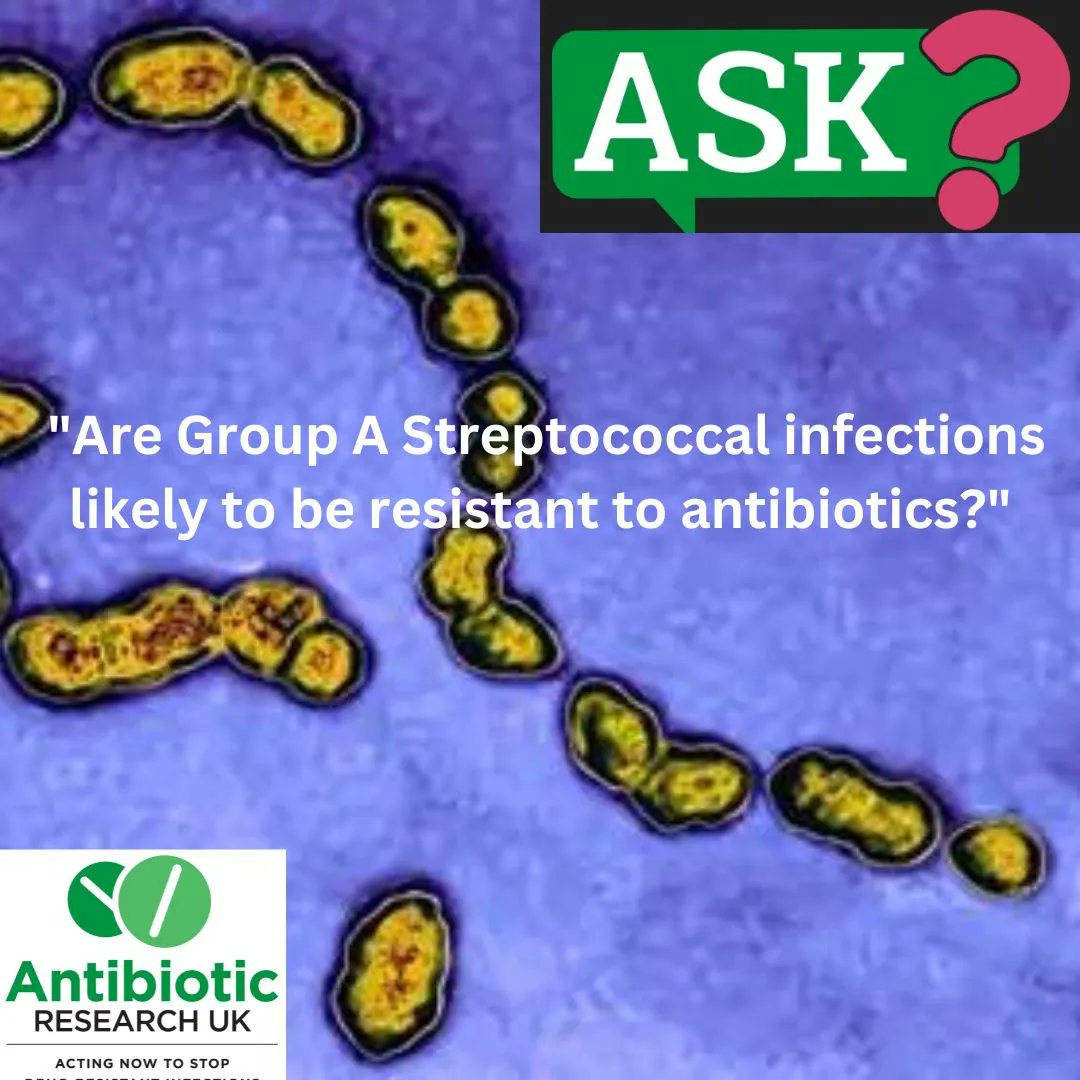 1Antruk's tweet photo. New #askARUK question "Are Group A Streptococcal infections likely to be resistant to antibiotics?" Find the answer here https://t.co/qtuN9BvqyK #Antibiotics #StrepA #GAS https://t.co/13lcQnkwNX