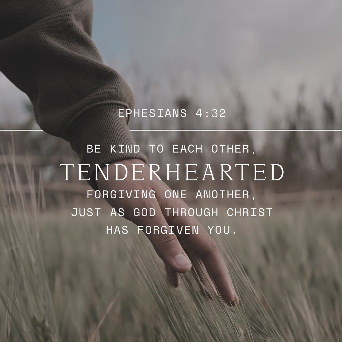 YouVersion's tweet photo. Ephesians 4:32 https://t.co/hS7lx08g81